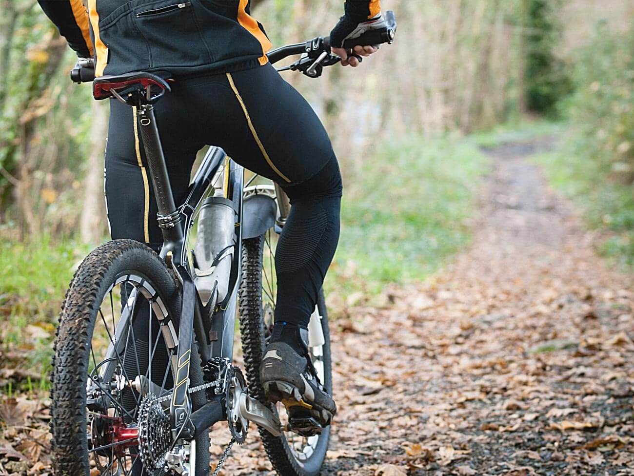 Vestibulum vulputate tellus