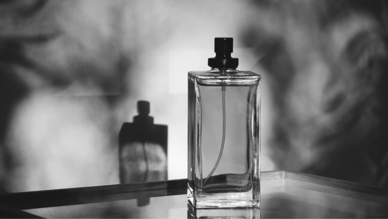 From the forests of Aquitaine to big botanical treasures source