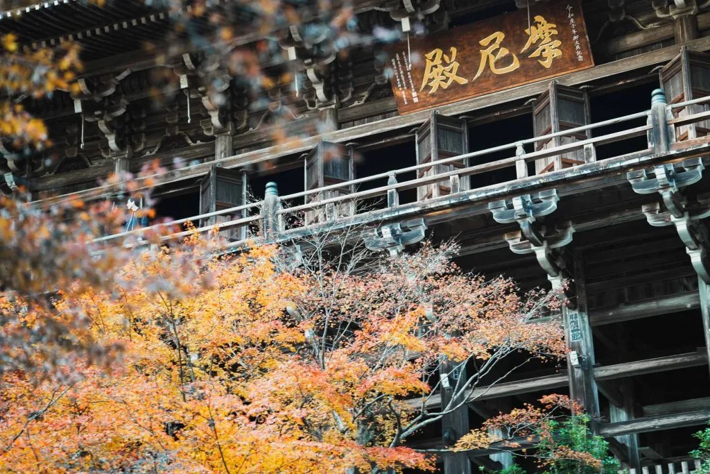 當年湯姆·克魯斯飾演的角色在此學習武士道精神,使得圓教寺的名聲遠播海外。