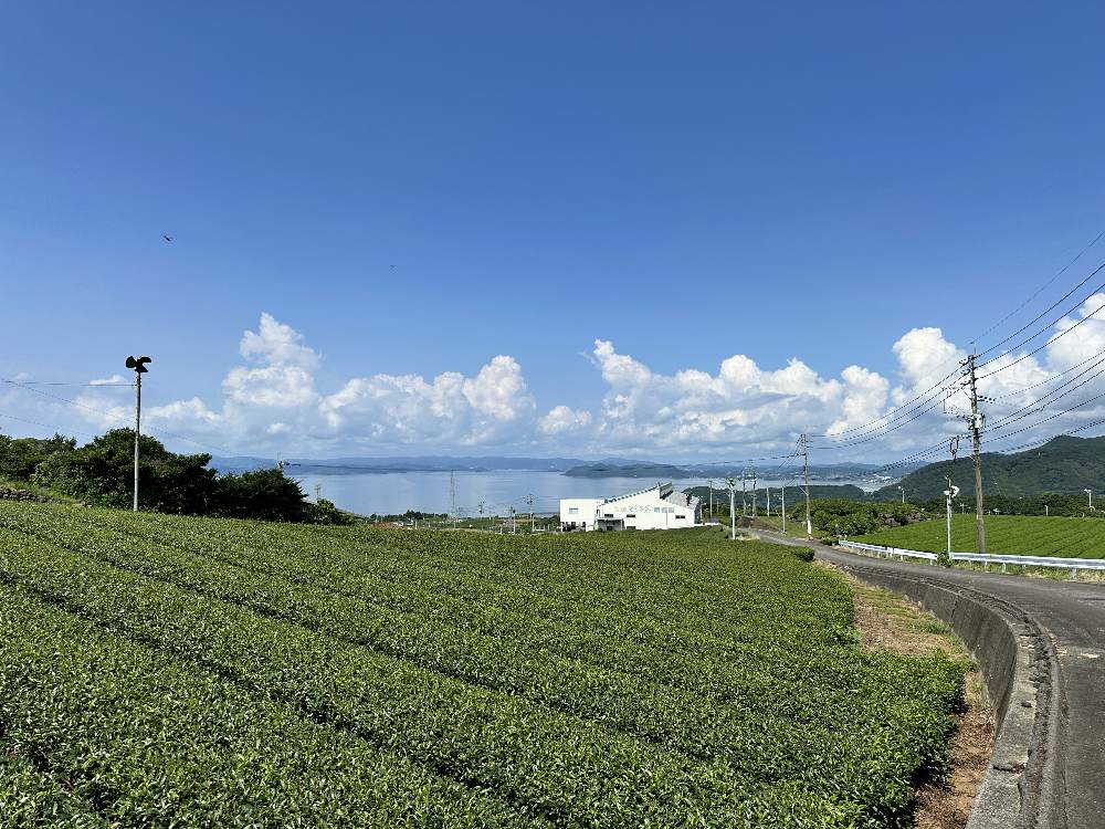 回顧糸島的海岸線、二見ヶ浦的夕陽、東彼杵的翠綠茶田,以及千綿車站那片蔚藍的海,因為ebike降低了單車旅遊的門檻,讓每個人都能輕鬆享受騎行的樂趣。