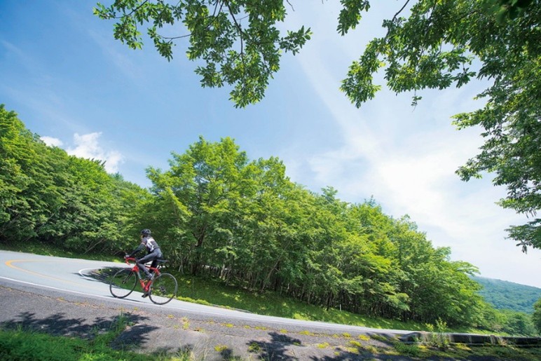 東進富士向來是環日賽(Tour of Japan/ツアー・オブ・ジャパン)富士山站必騎之路，【ふじあざみライン】「富士薊線」就是一條通往富士山五合目的山路，因其沿途的薊花和陡峭的坡度而得名。