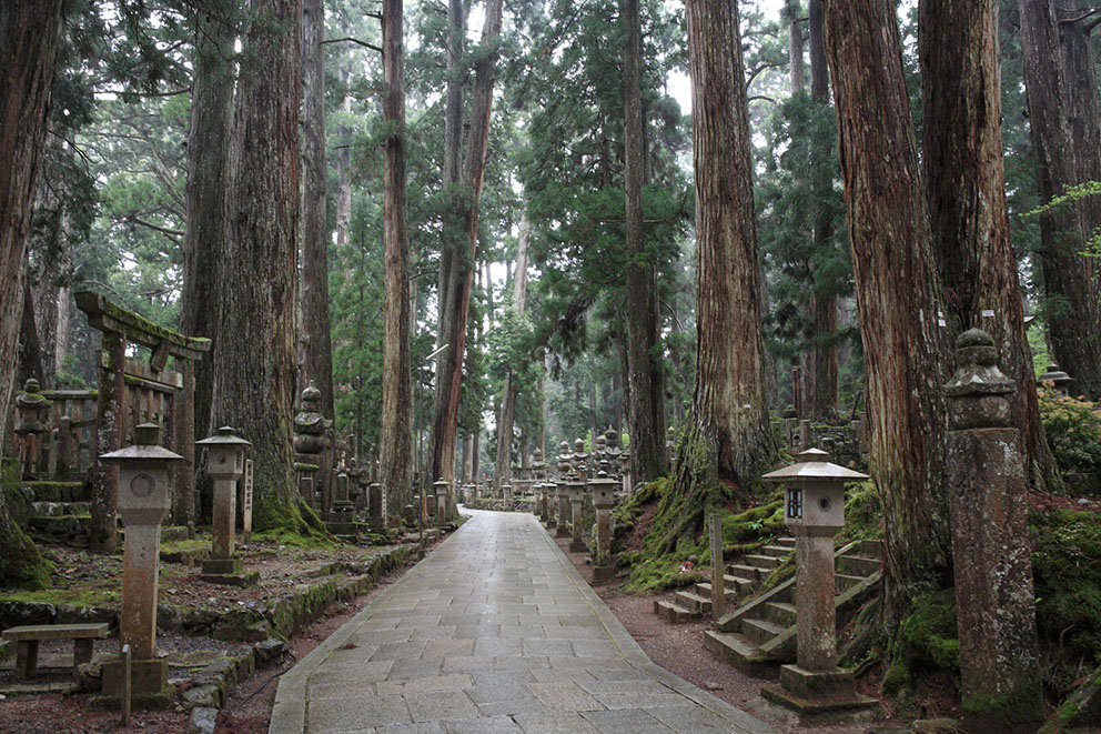【高野山奧之院巨杉參道】 兩側佇立百年杉木與青苔石燈籠的高野山奧之院參道風光。